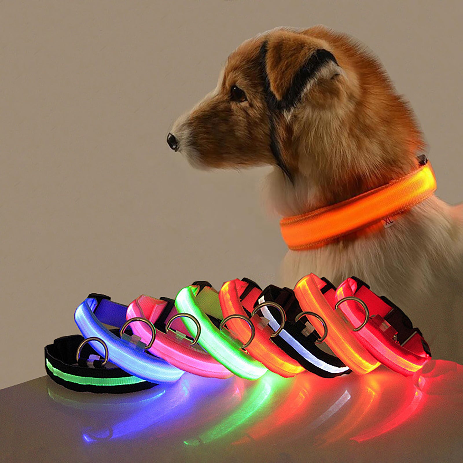 Collare Luminoso Regolabile per Cani - Sicurezza Notturna con Strisce Fluorescenti