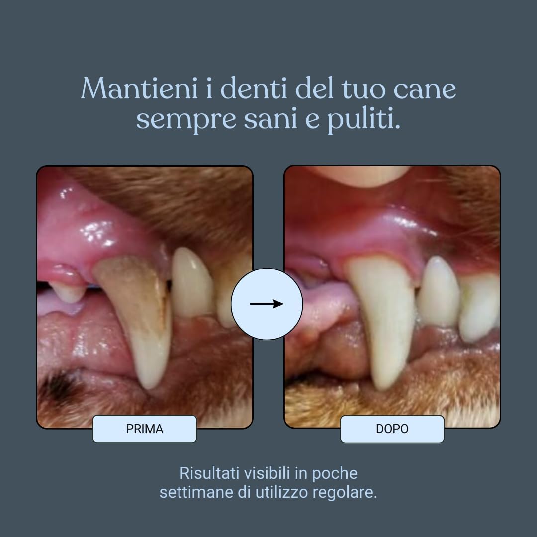 bàu Cosmesi Cane Placca e Tartaro, Polvere Denti Cane Appetibile, Integratore Naturale Migliora l'Alito Cane, Polvere Denti Cane e Gatto con Alga Ascophyllum, Rimedio per Puliza Denti Cane - 150g