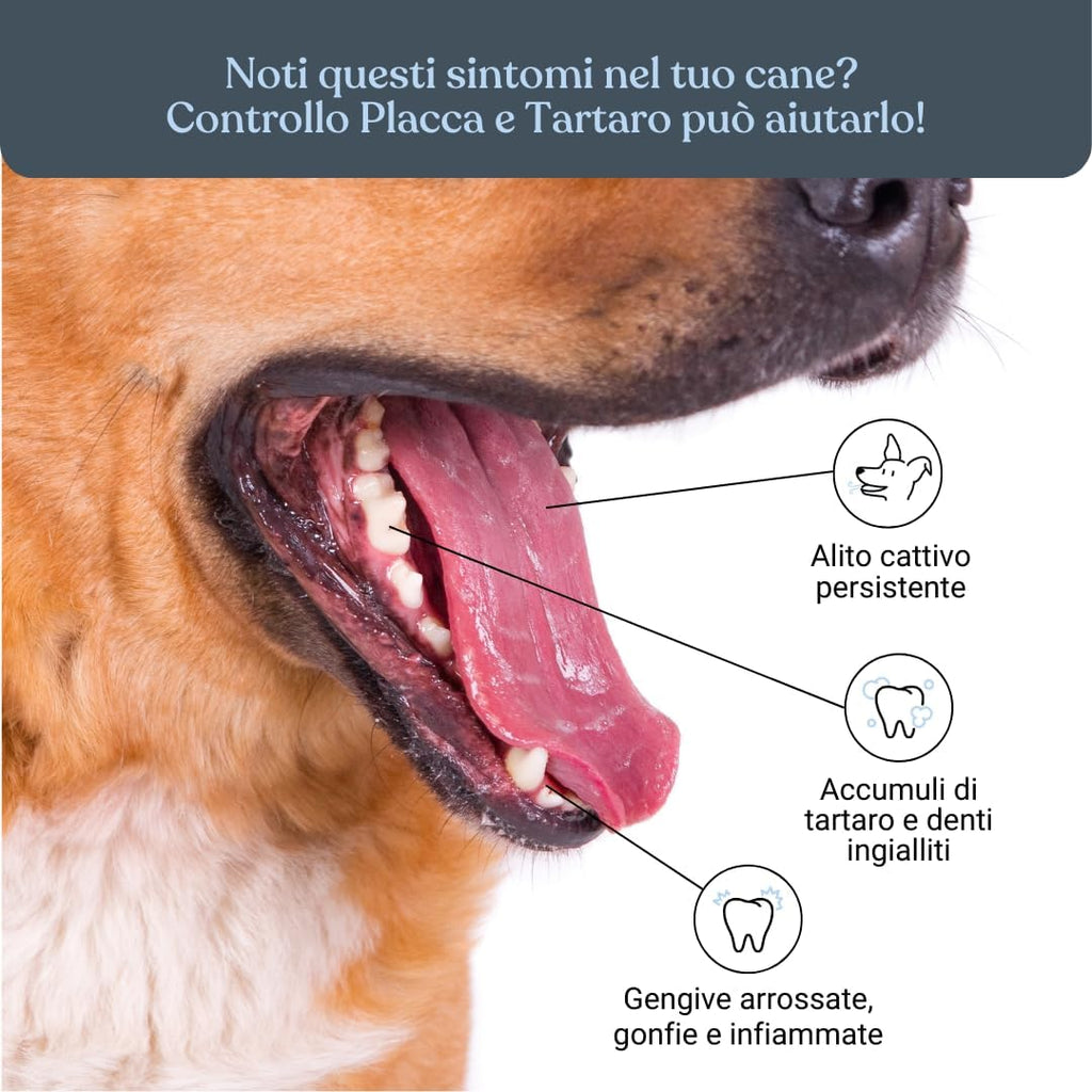 bàu Cosmesi Cane Placca e Tartaro, Polvere Denti Cane Appetibile, Integratore Naturale Migliora l'Alito Cane, Polvere Denti Cane e Gatto con Alga Ascophyllum, Rimedio per Puliza Denti Cane - 150g