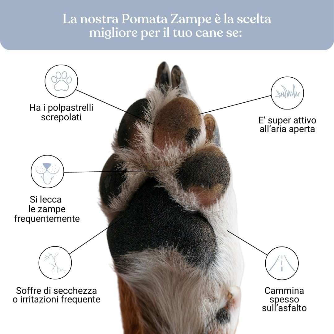 Crema Polpastrelli Cane Nutriente e Protettiva, Crema Zampe Cani Naturale Senza Parabeni e Siliconi, Balsamo Zampe Cane Naturale Protettiva Antinfiammatoria con Karitè e Calendula