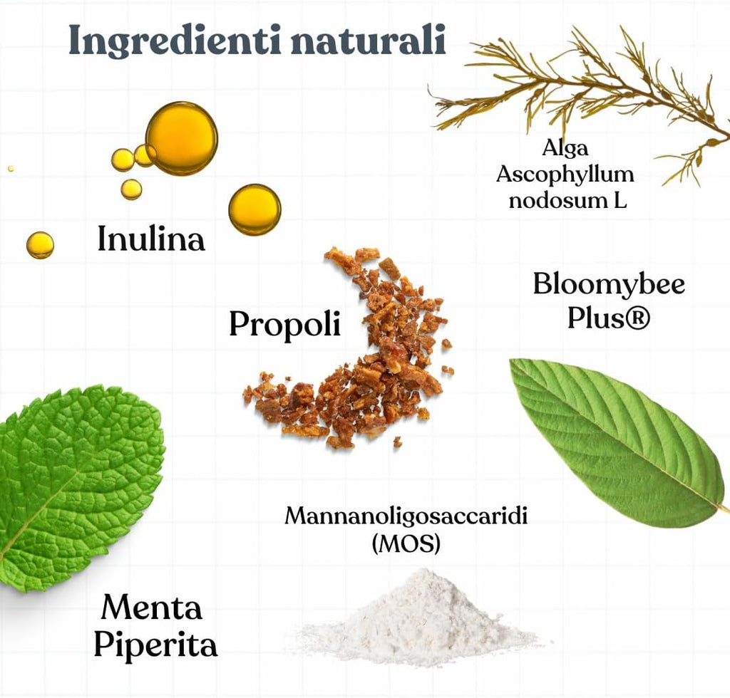 bàu Cosmesi Cane Placca e Tartaro, Polvere Denti Cane Appetibile, Integratore Naturale Migliora l'Alito Cane, Polvere Denti Cane e Gatto con Alga Ascophyllum, Rimedio per Puliza Denti Cane - 150g