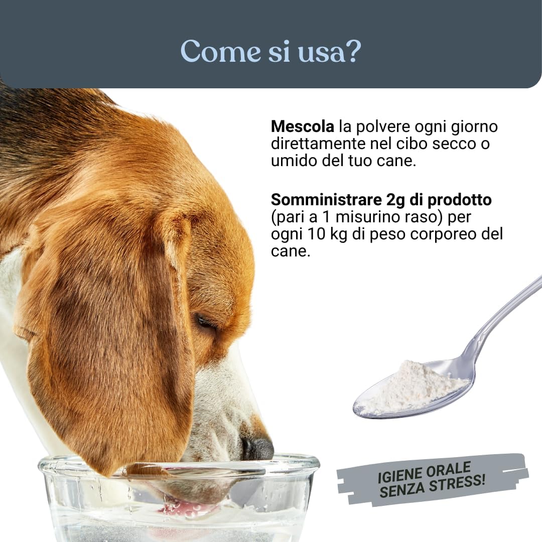 bàu Cosmesi Cane Placca e Tartaro, Polvere Denti Cane Appetibile, Integratore Naturale Migliora l'Alito Cane, Polvere Denti Cane e Gatto con Alga Ascophyllum, Rimedio per Puliza Denti Cane - 150g