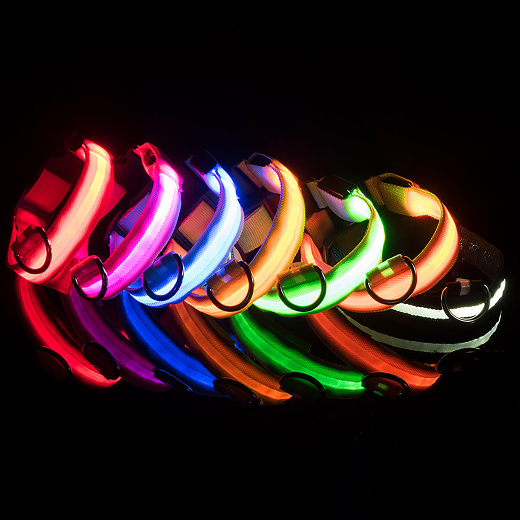 Collare Luminoso Regolabile per Cani - Sicurezza Notturna con Strisce Fluorescenti