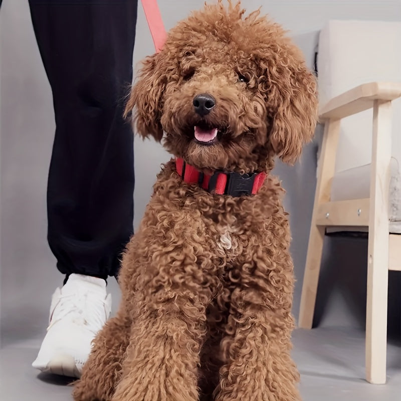 Collare Luminoso Regolabile per Cani - Sicurezza Notturna con Strisce Fluorescenti